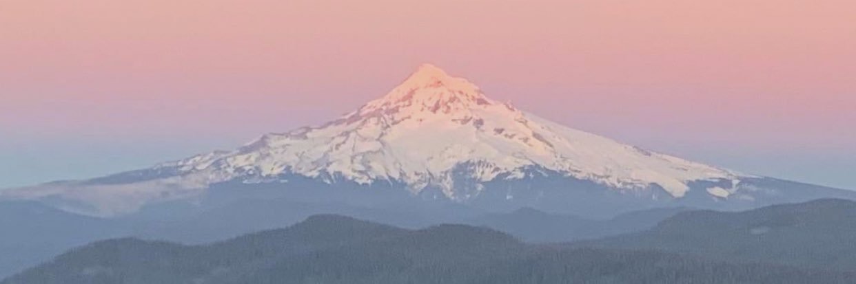 slizzed_'s profile banner image