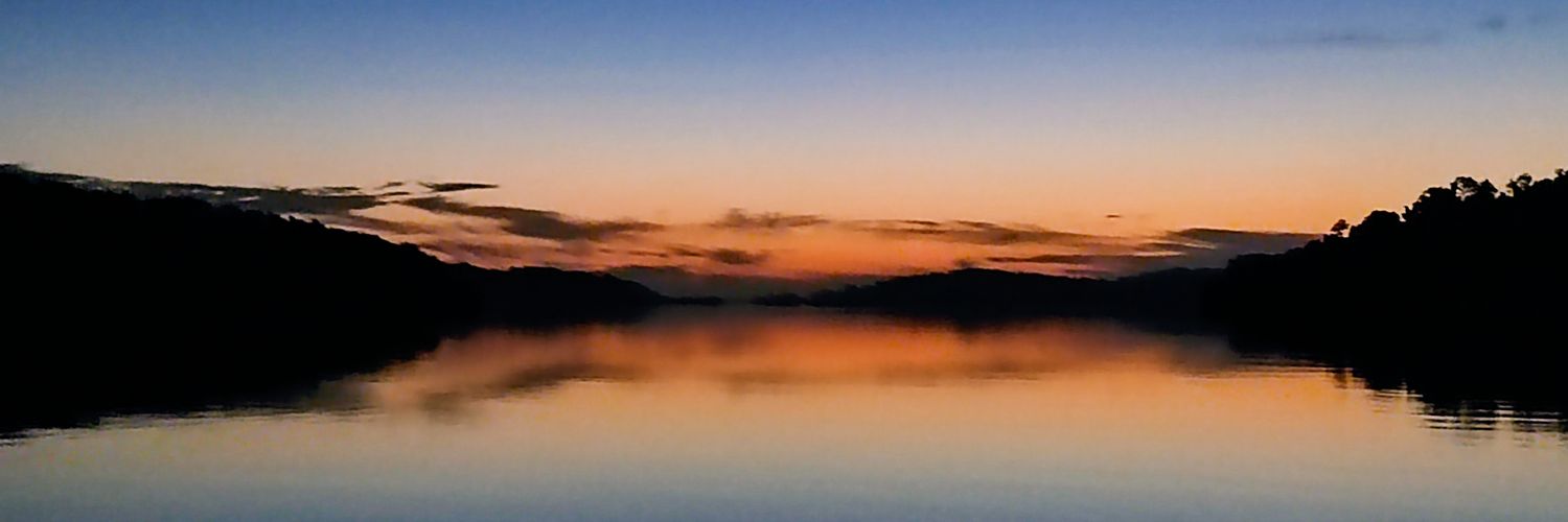 Nelson Gonzalez Staf banner