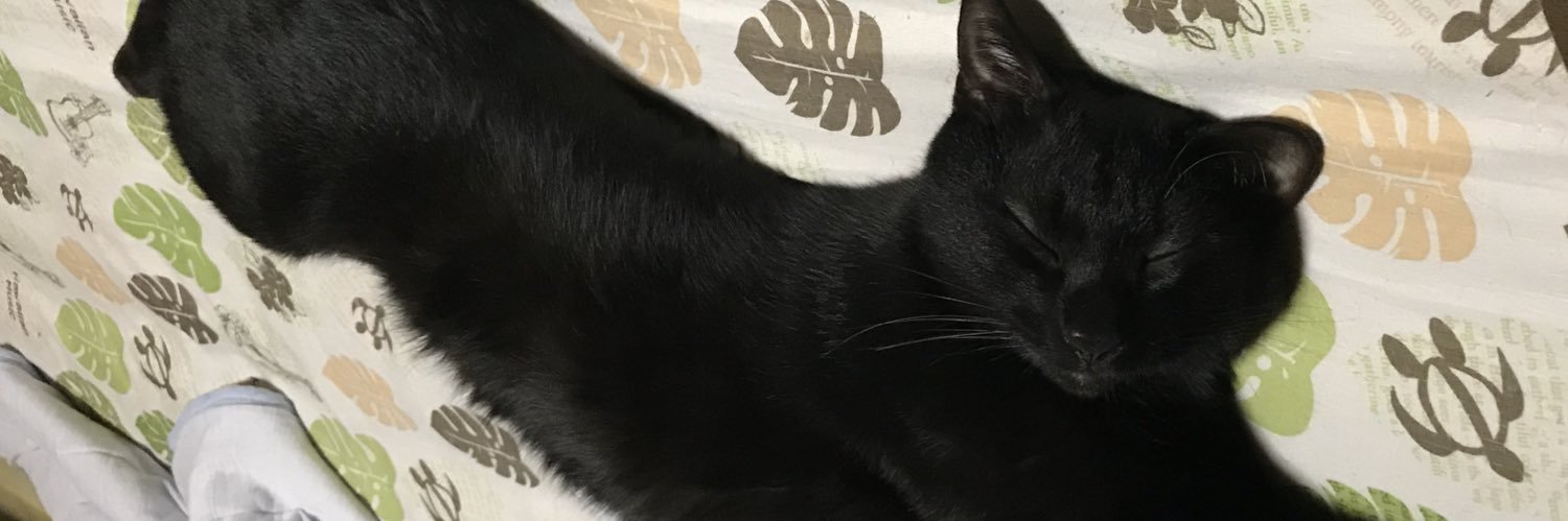 GosStop's profile banner image