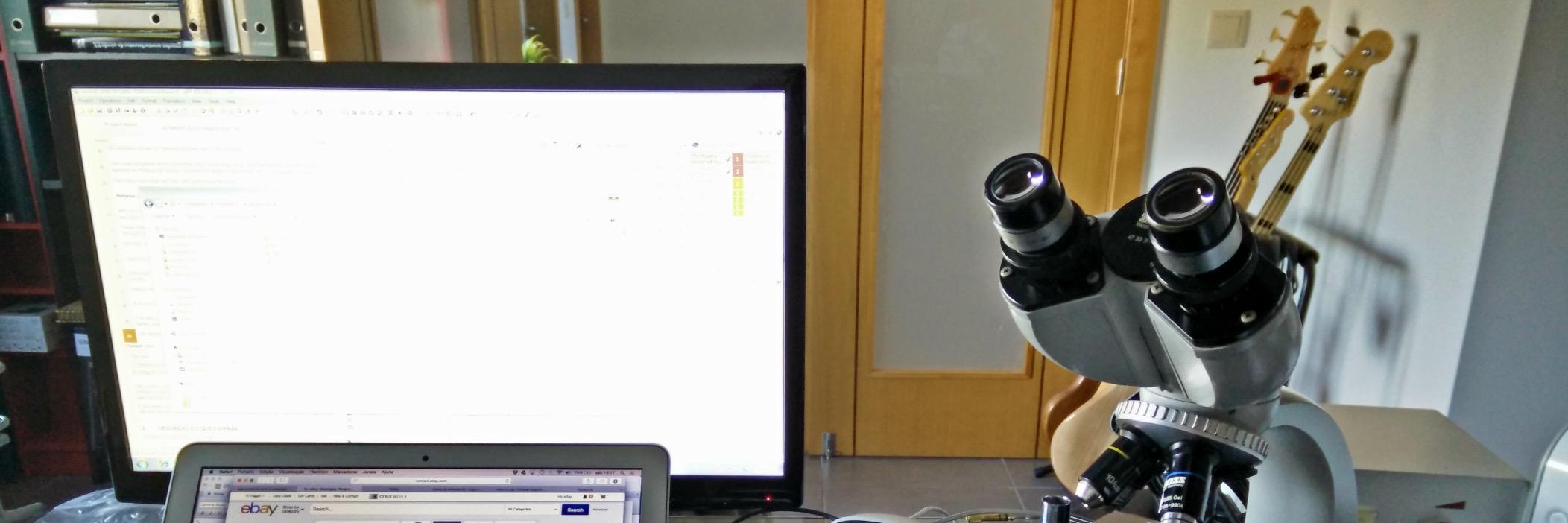 TNNeto's profile banner image