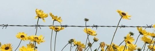 moopsyd's profile banner image