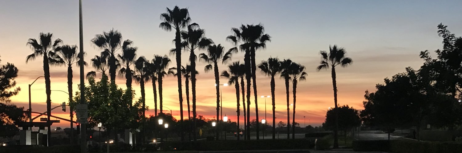 lexuality_'s profile banner image
