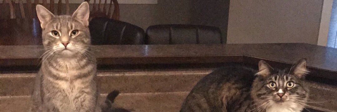 BenjaminCoyle's profile banner image