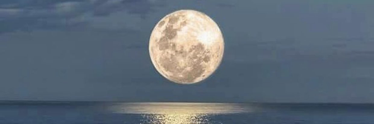 Tarek_J's profile banner image