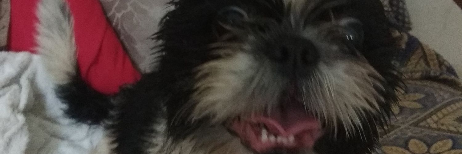 lfraga06's profile banner image