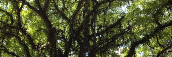 anarchytecture Profile Banner