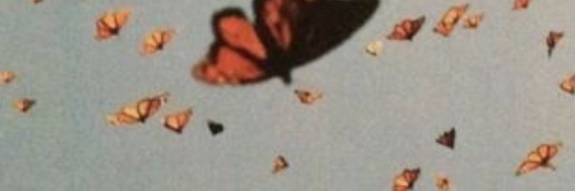 Chloevhh6u's profile banner image