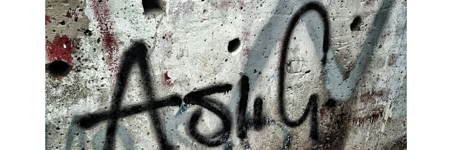 aslcmkrtn's profile banner image
