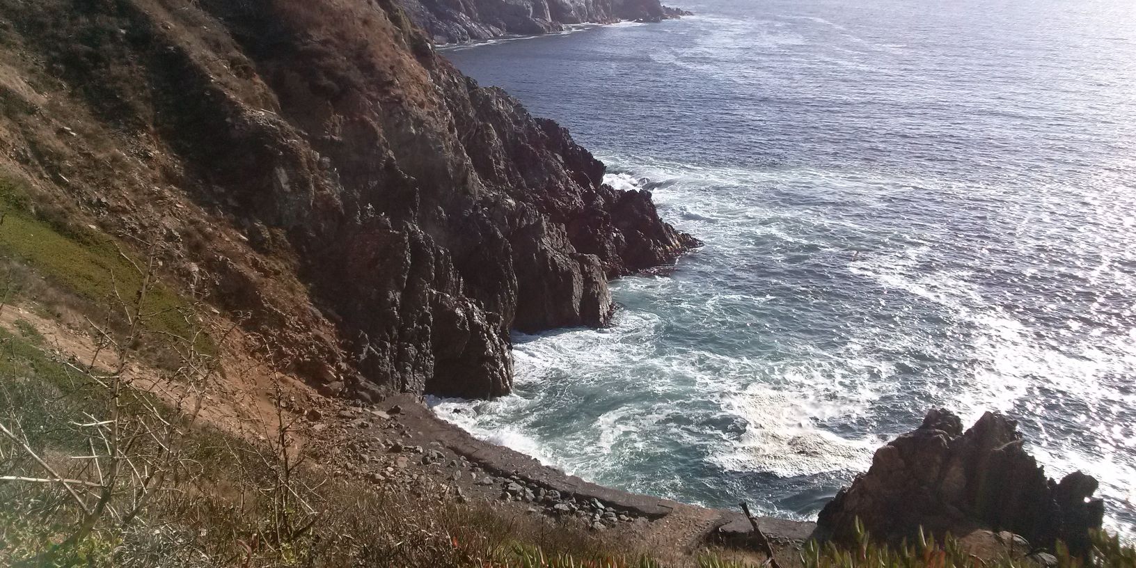 José C. T. Olmedo banner