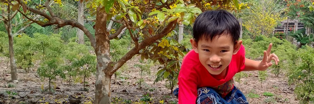 _MrPhuc's profile banner image