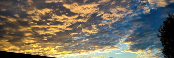 JescaRod Profile Banner