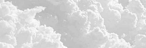 arcticerika's profile banner image