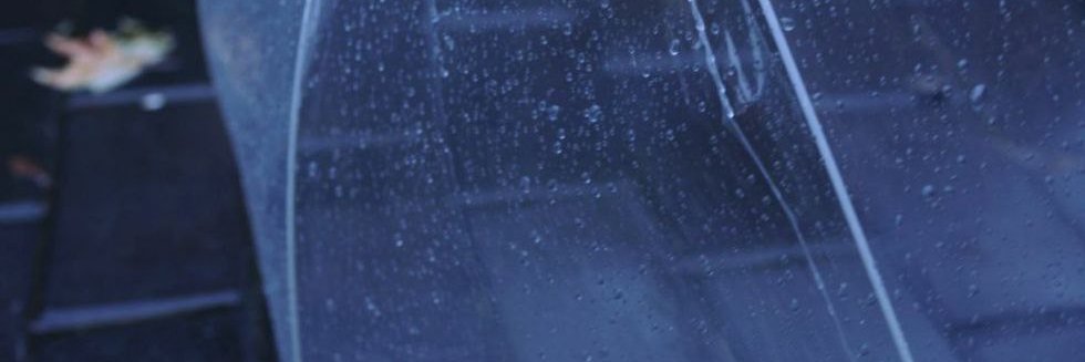 Diana banner