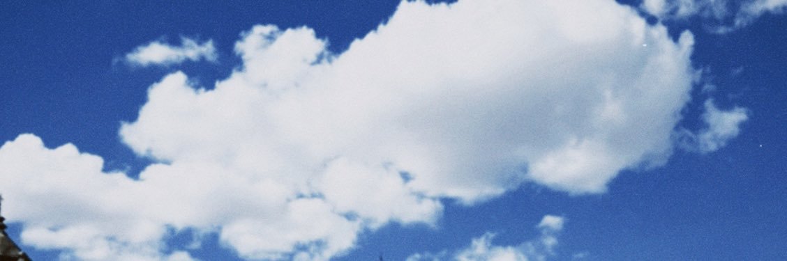 thecarlygal's profile banner image