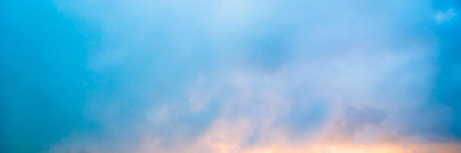 MollyMandje's profile banner image