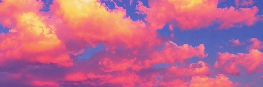 pippa_flippa's profile banner image