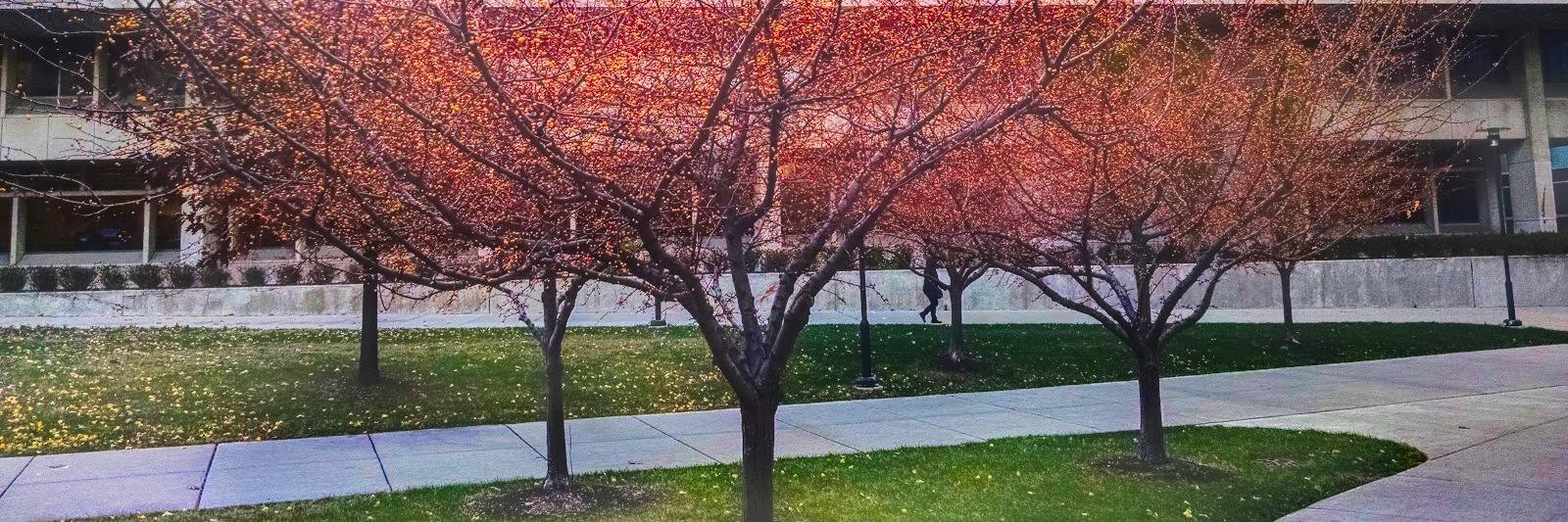 SeanCMcConnell's profile banner image