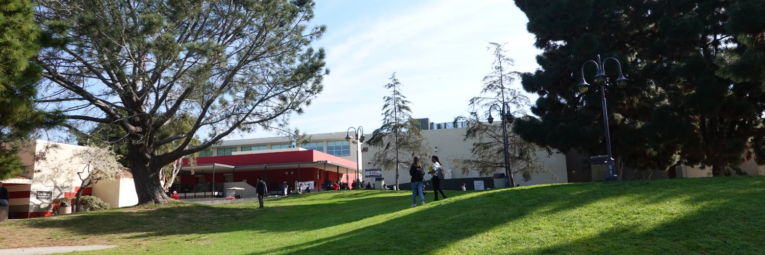 La Jolla High, Home of the Vikings banner