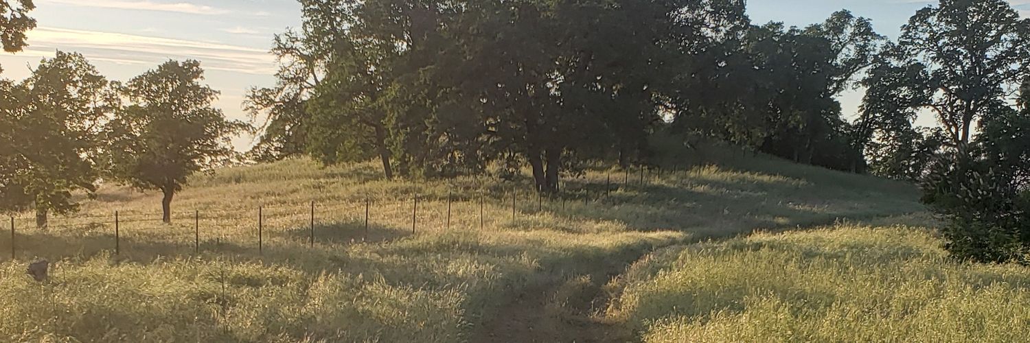 LangNasty's profile banner image