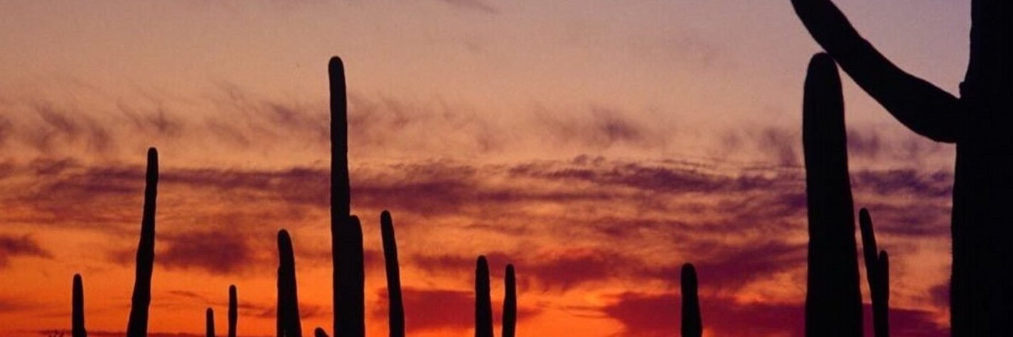 RealKeithweimer's profile banner image