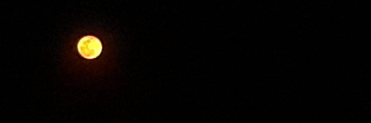 stephannya84's profile banner image