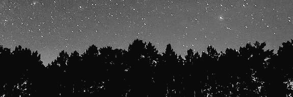 as6642990's profile banner image