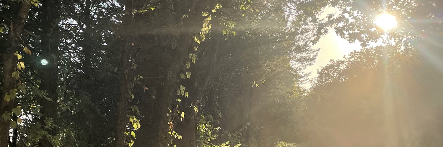 brooklynr____'s profile banner image