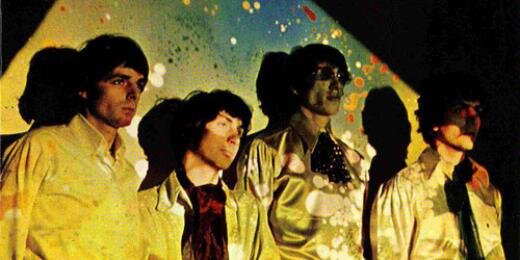 bottinelliflor's profile banner image