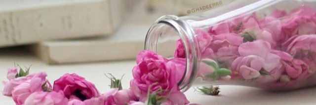 bent__shaker's profile banner image