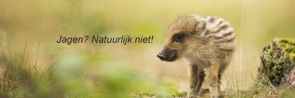 fb_overijssel's profile banner image