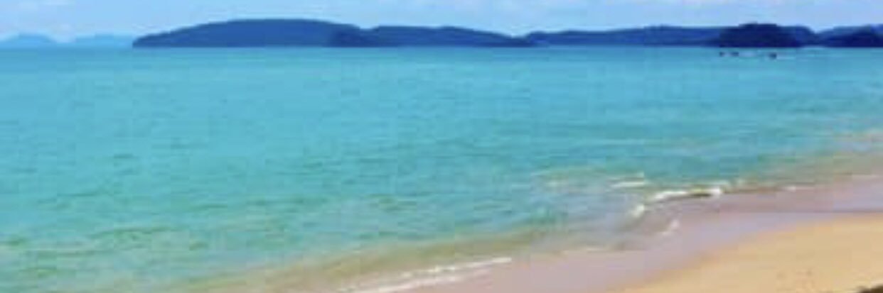 Diny banner