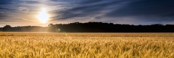 CongHuelskamp Profile Banner