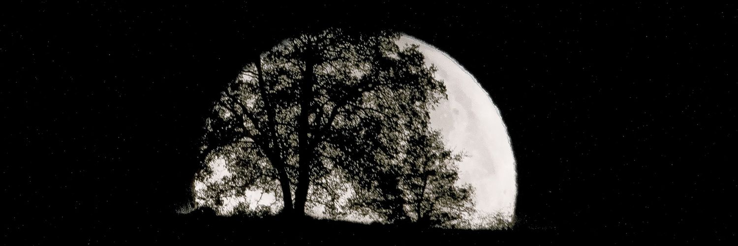 javiermunilla's profile banner image