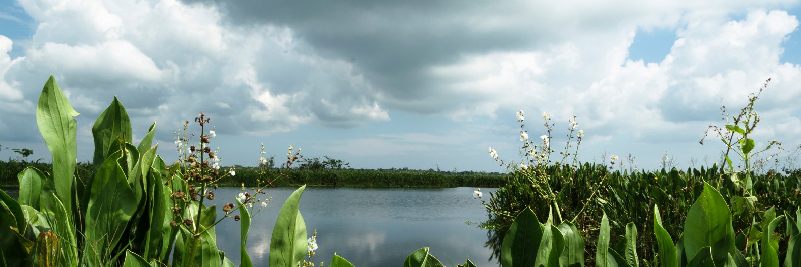 martindfoto's profile banner image