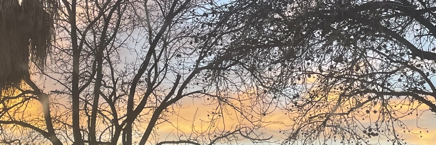 bpdeathly's profile banner image