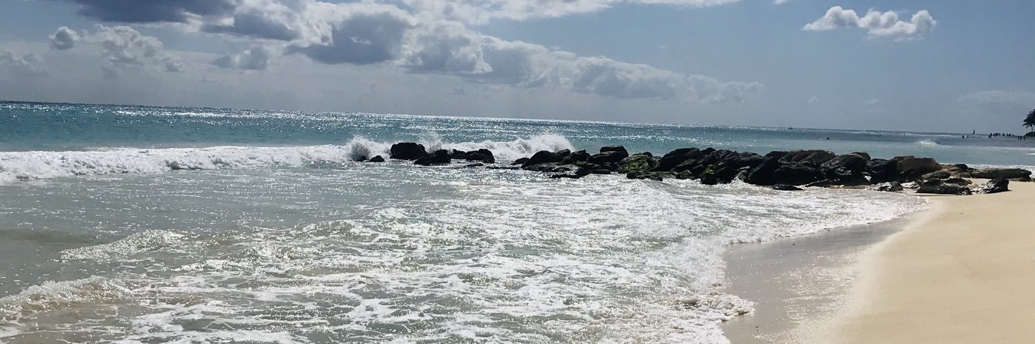 FlorAllendee's profile banner image