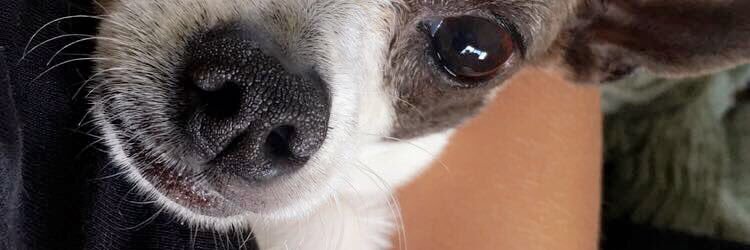 kel_benn3tt's profile banner image