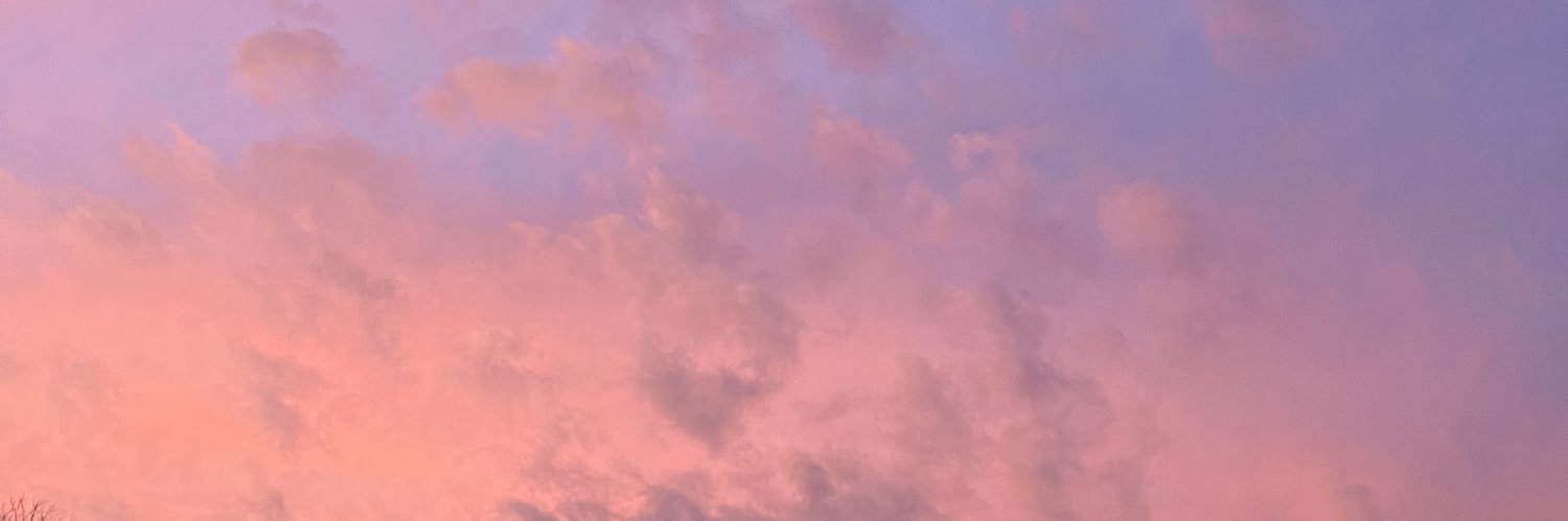 rebootawsten's profile banner image