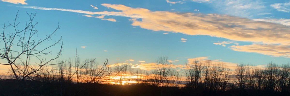 nunerz's profile banner image