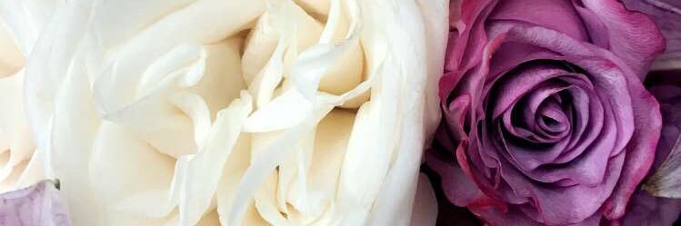 emerald_kcs's profile banner image