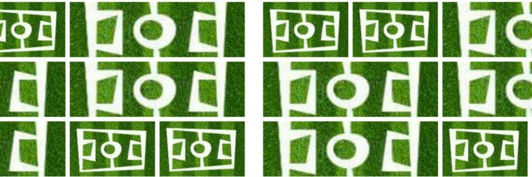 Perro Teniente banner
