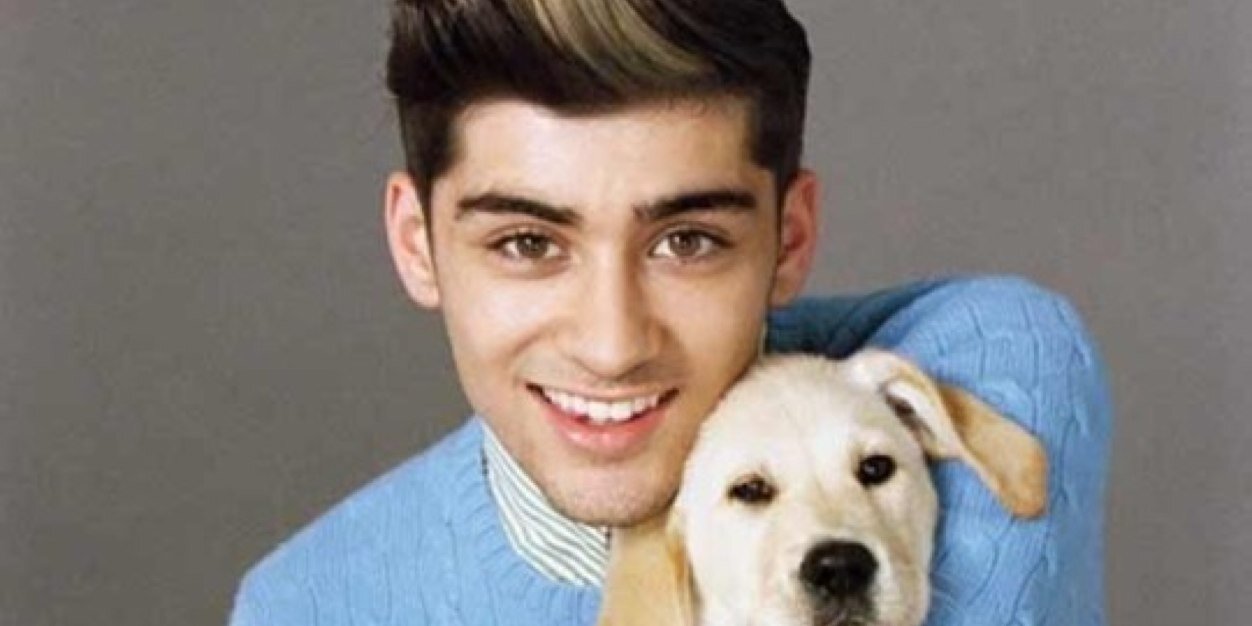 LarrySootchoot's profile banner image