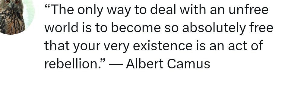 Jamie Baker Roskie banner