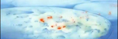 nanayumenokaker's profile banner image