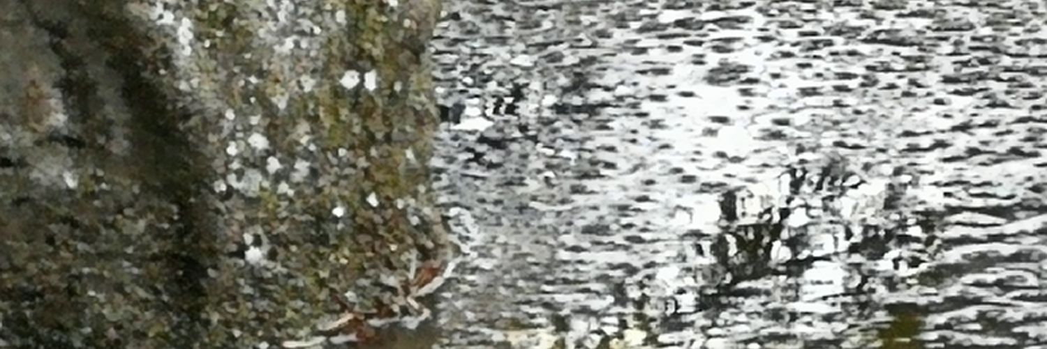 neilarm1996's profile banner image