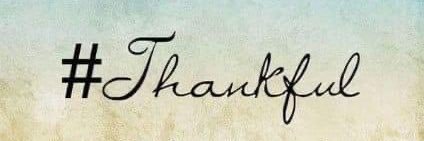 Robin B. 💙 banner