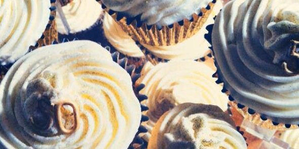 Pladtic paddy 100 banner