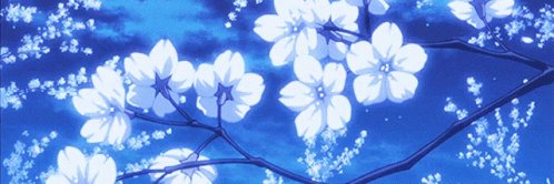 kcdesign's profile banner image