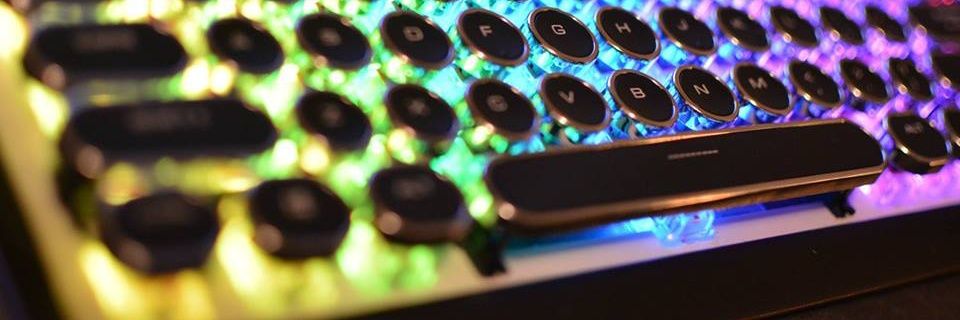 E L L ¡ banner