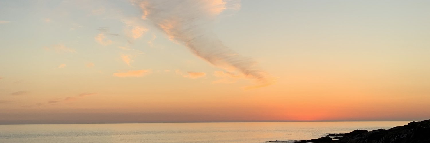 _safflouise's profile banner image